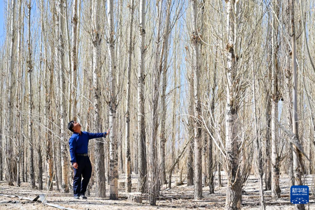 无码人妻少妇色欲AV一区二区