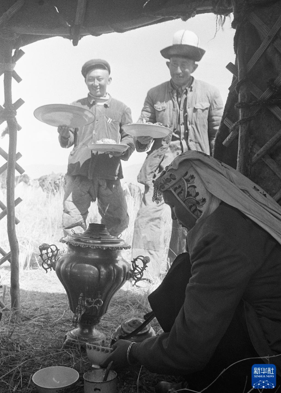 无码人妻少妇色欲AV一区二区