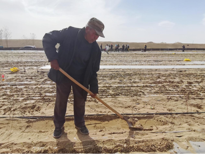 无码人妻少妇色欲AV一区二区