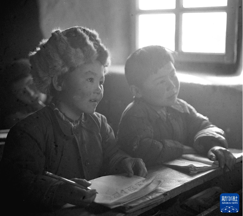 无码人妻少妇色欲AV一区二区