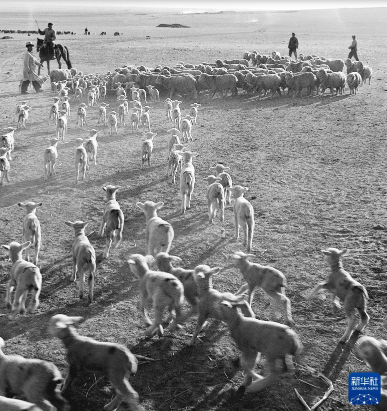 无码人妻少妇色欲AV一区二区