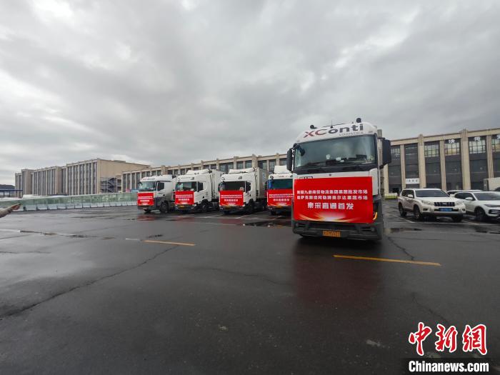 无码人妻少妇色欲AV一区二区