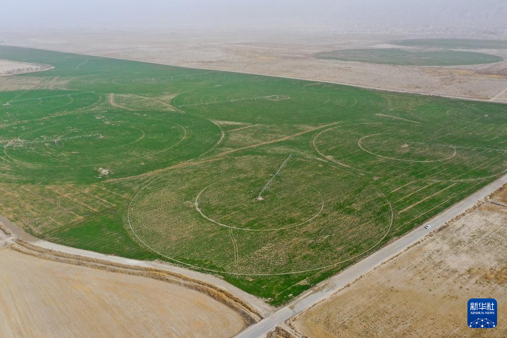 无码人妻少妇色欲AV一区二区