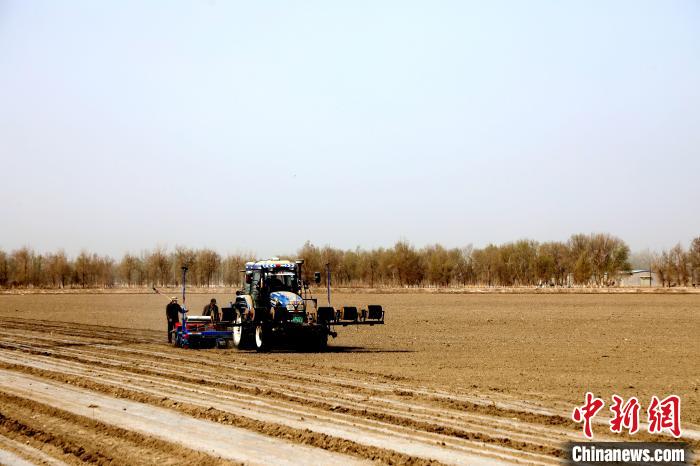 无码人妻少妇色欲AV一区二区