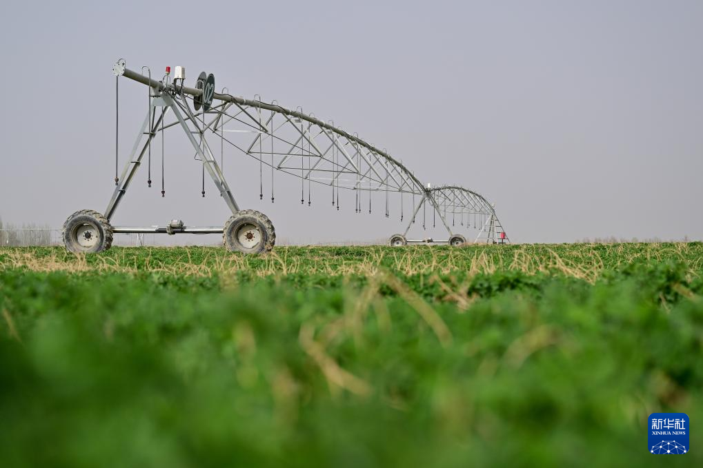 无码人妻少妇色欲AV一区二区