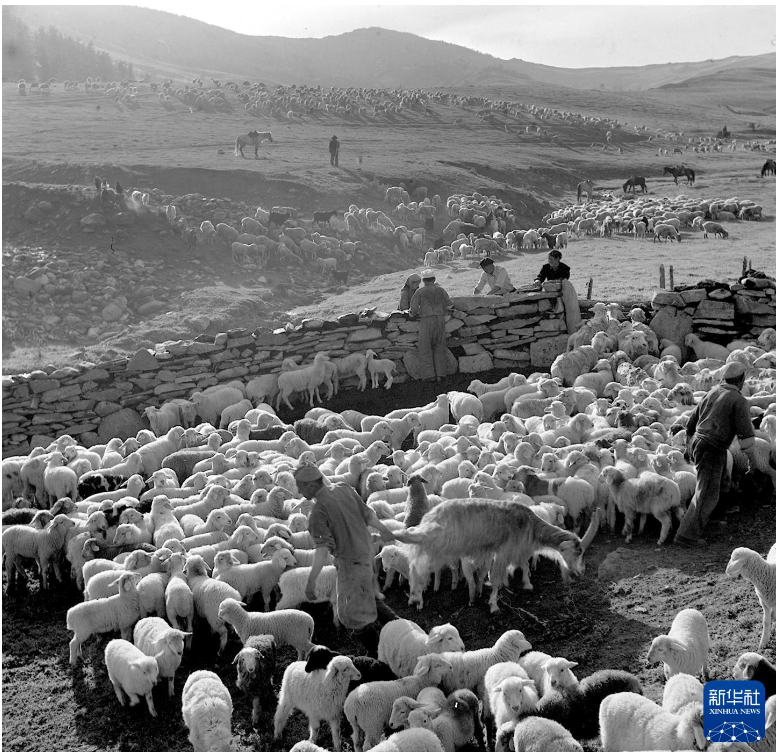 无码人妻少妇色欲AV一区二区