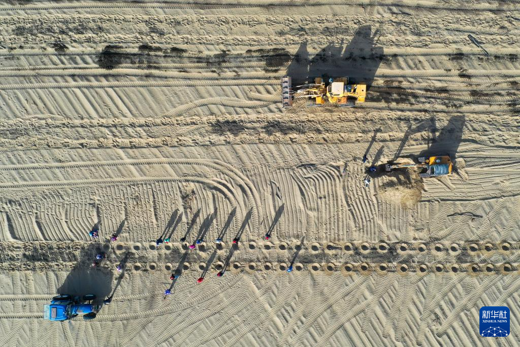 无码人妻少妇色欲AV一区二区