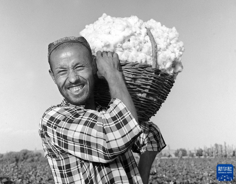 无码人妻少妇色欲AV一区二区