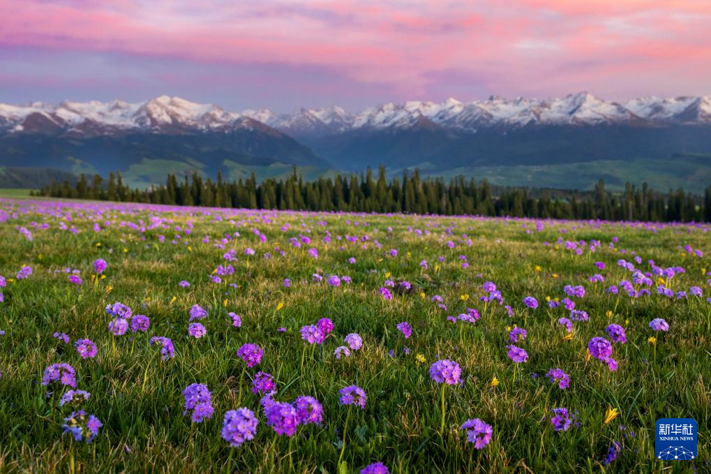 无码人妻少妇色欲AV一区二区