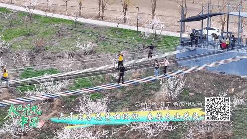 无码人妻少妇色欲AV一区二区