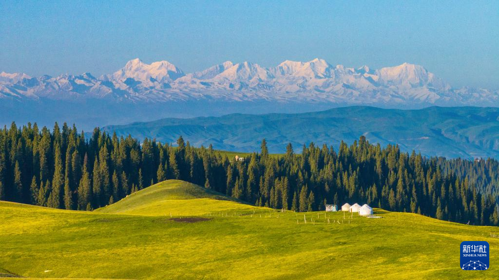 无码人妻少妇色欲AV一区二区