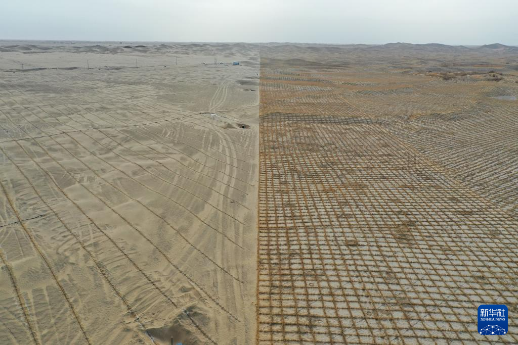 无码人妻少妇色欲AV一区二区