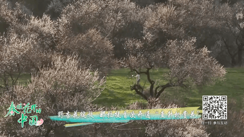 无码人妻少妇色欲AV一区二区