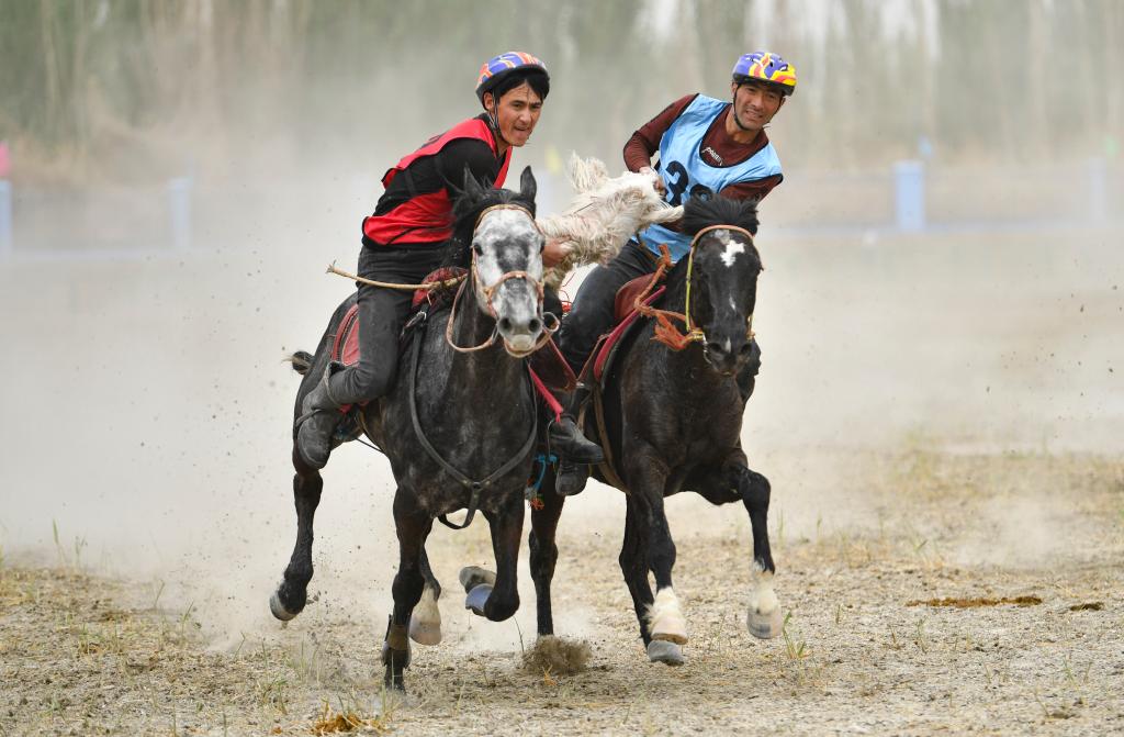 无码人妻少妇色欲AV一区二区