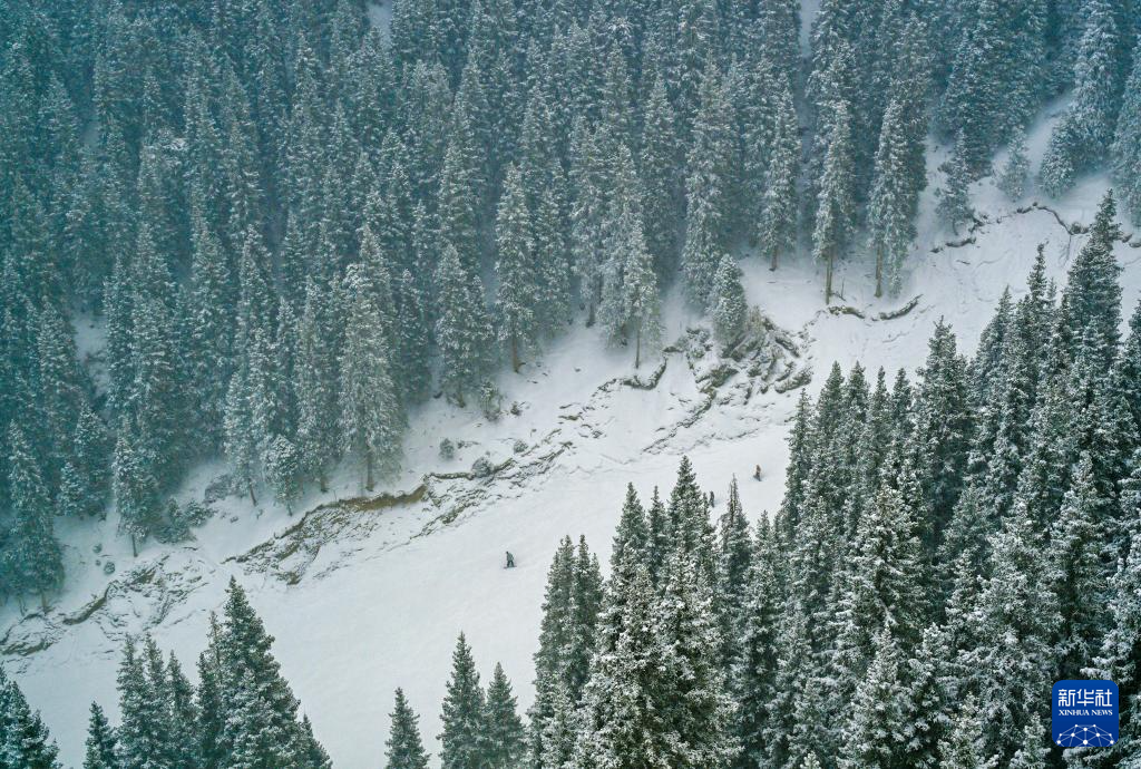 无码人妻少妇色欲AV一区二区