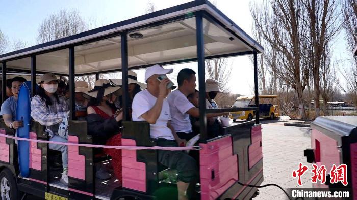 无码人妻少妇色欲AV一区二区