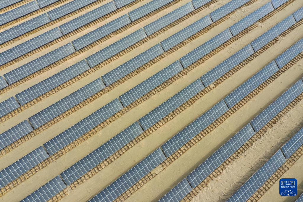 无码人妻少妇色欲AV一区二区