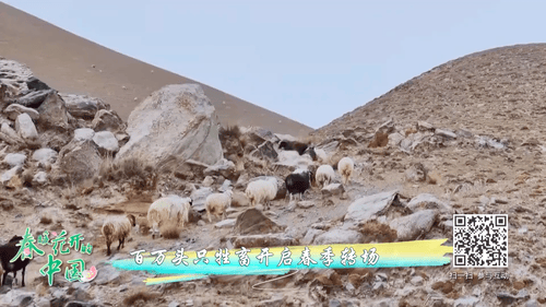 无码人妻少妇色欲AV一区二区