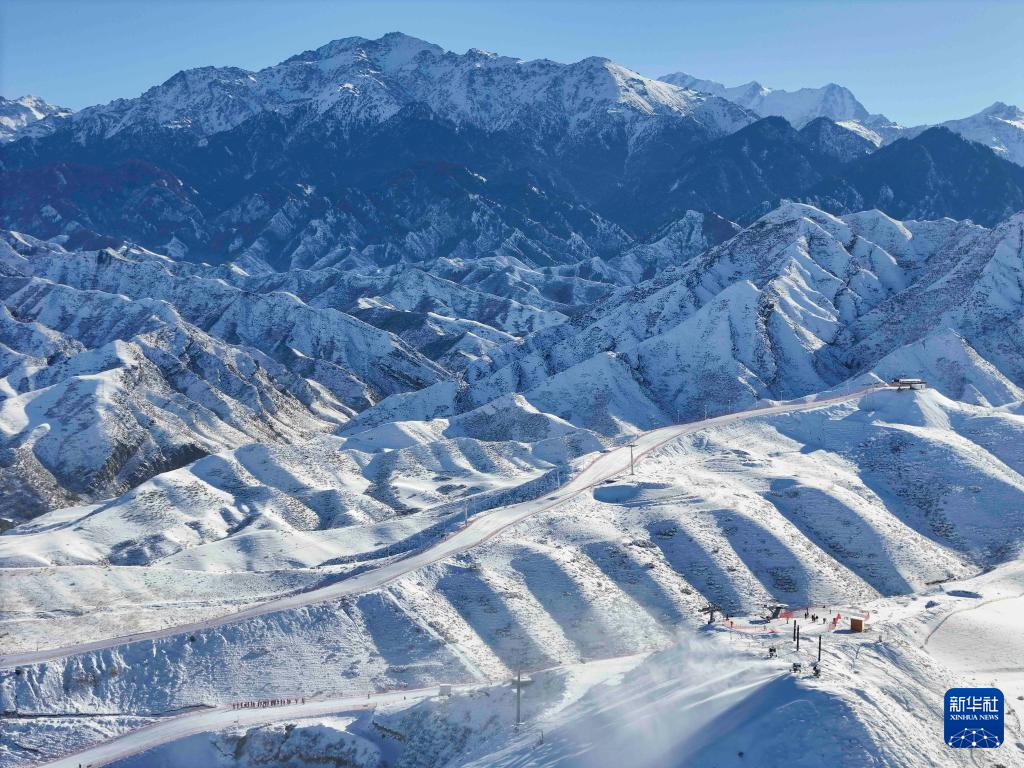 无码人妻少妇色欲AV一区二区