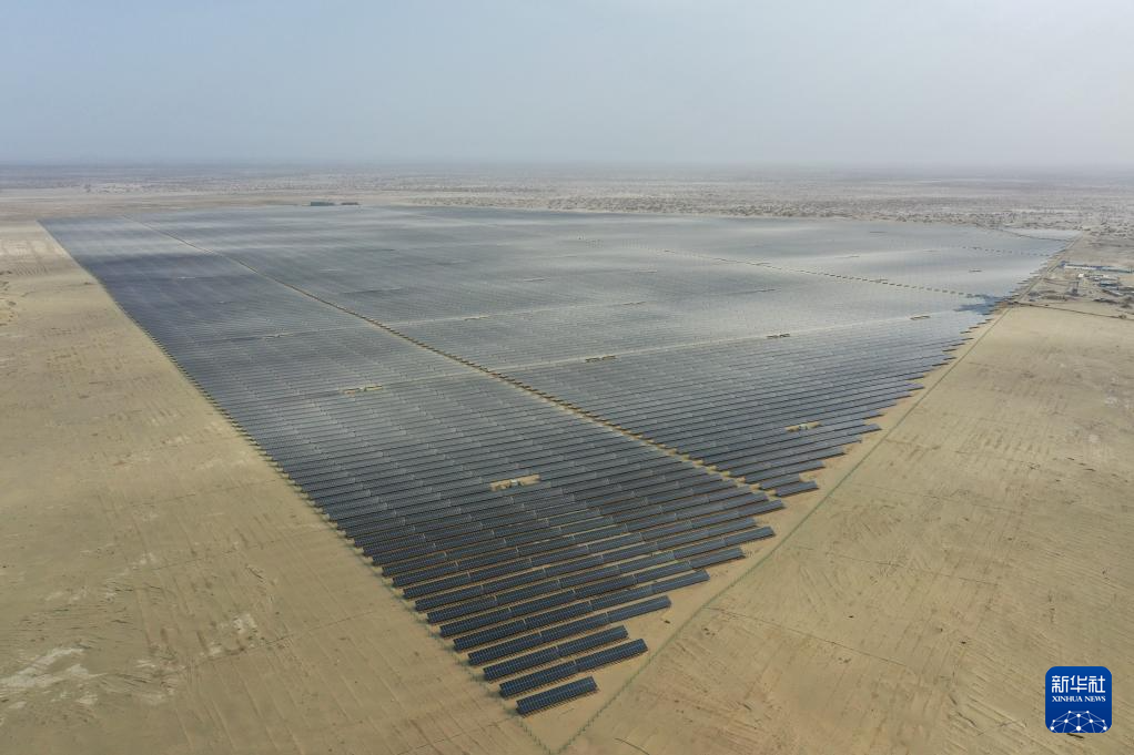 无码人妻少妇色欲AV一区二区