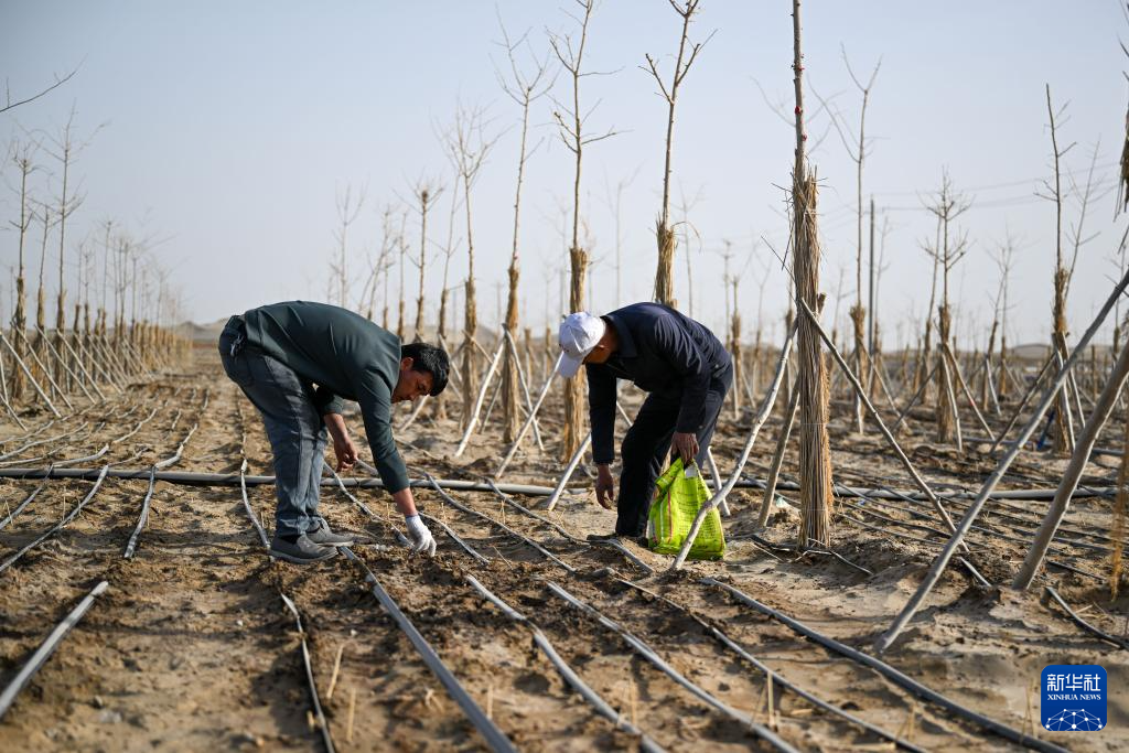 无码人妻少妇色欲AV一区二区