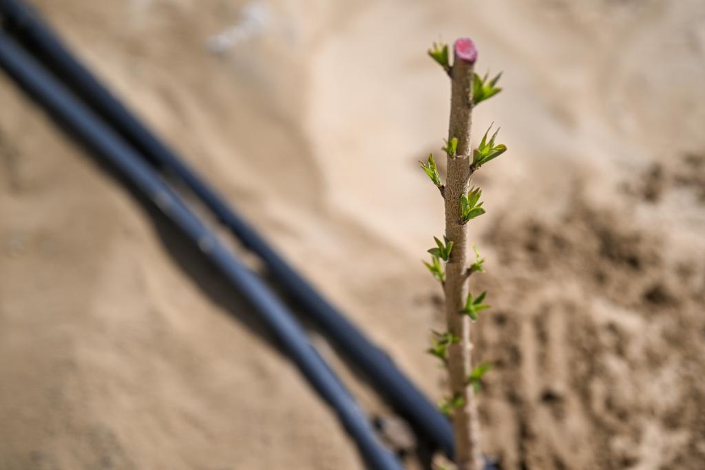 无码人妻少妇色欲AV一区二区