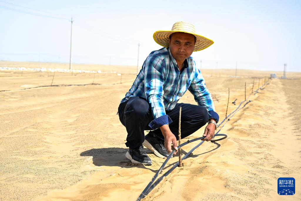 无码人妻少妇色欲AV一区二区