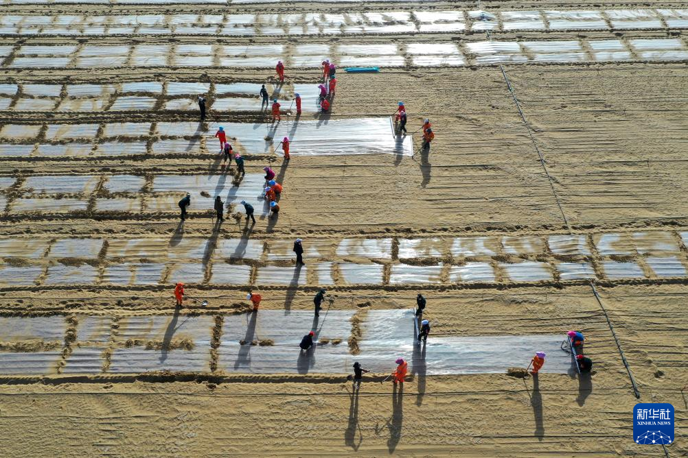 无码人妻少妇色欲AV一区二区