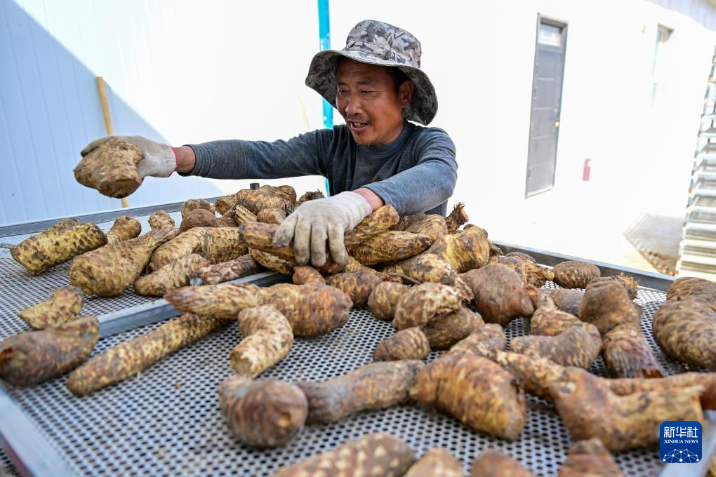 无码人妻少妇色欲AV一区二区