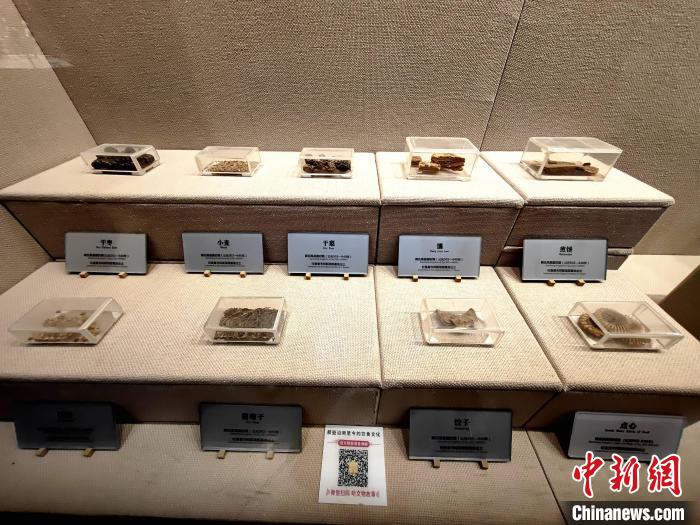 无码人妻少妇色欲AV一区二区