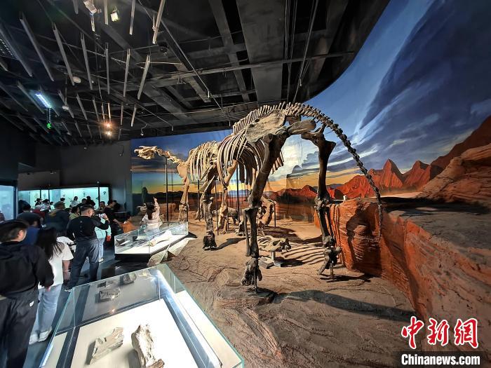 无码人妻少妇色欲AV一区二区