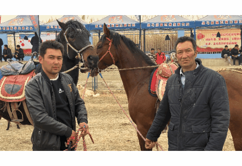 无码人妻少妇色欲AV一区二区