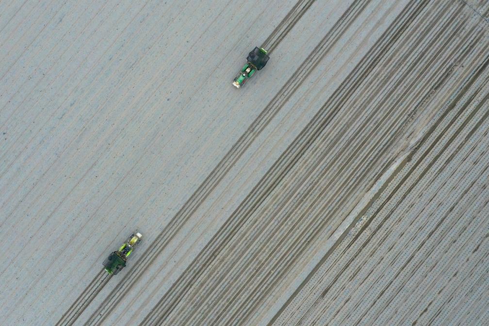 无码人妻少妇色欲AV一区二区