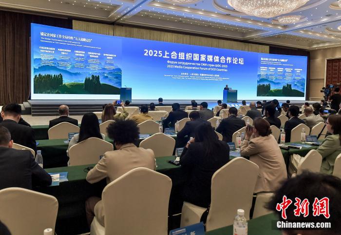 无码人妻少妇色欲AV一区二区