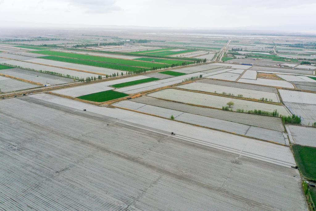 无码人妻少妇色欲AV一区二区