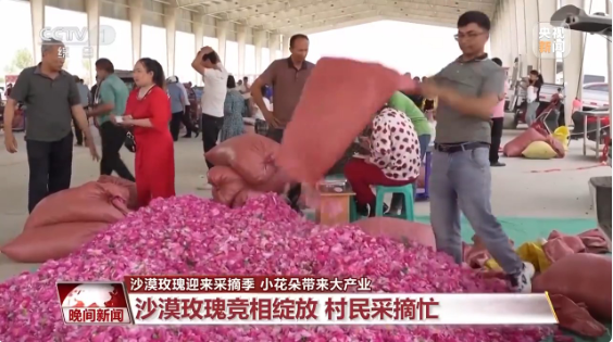 无码人妻少妇色欲AV一区二区