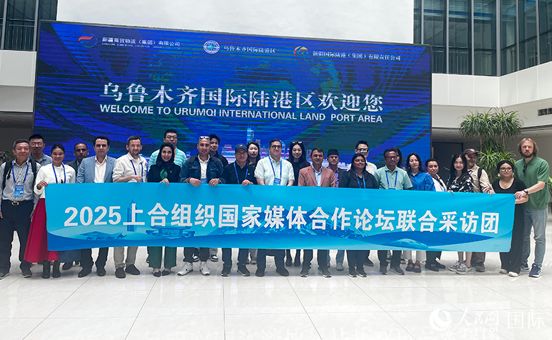 无码人妻少妇色欲AV一区二区