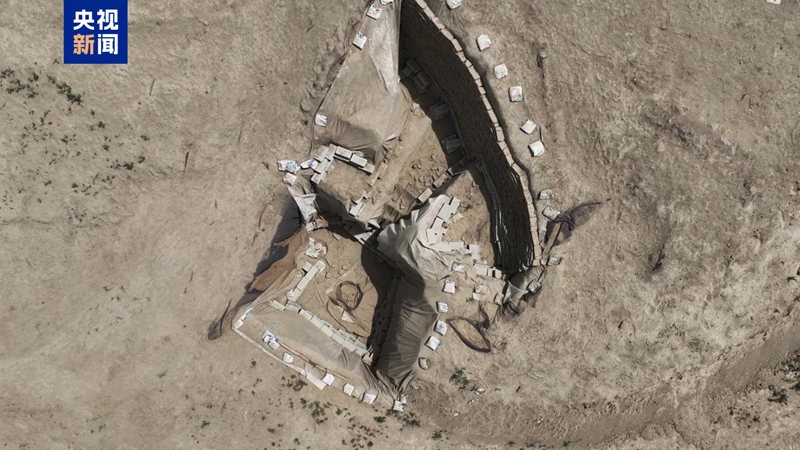 无码人妻少妇色欲AV一区二区