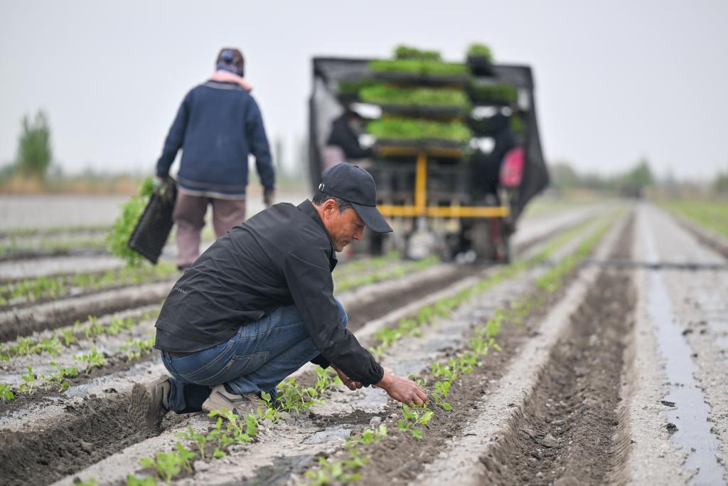 无码人妻少妇色欲AV一区二区