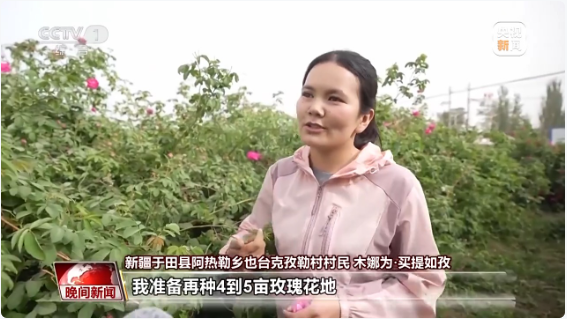 无码人妻少妇色欲AV一区二区