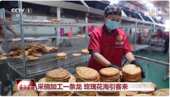 无码人妻少妇色欲AV一区二区