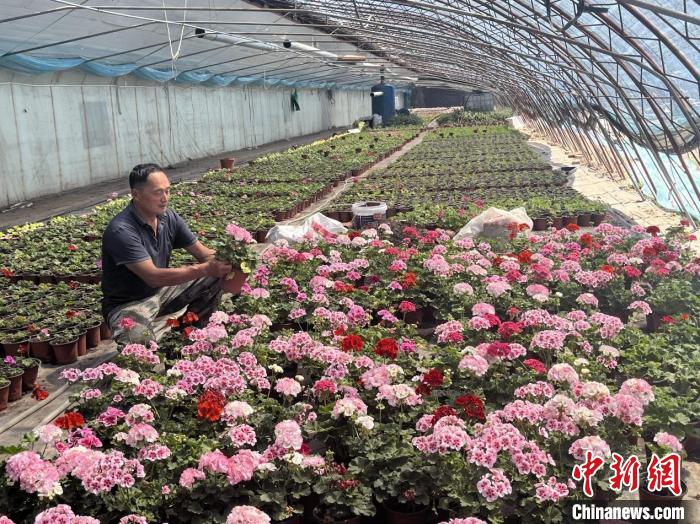 无码人妻少妇色欲AV一区二区