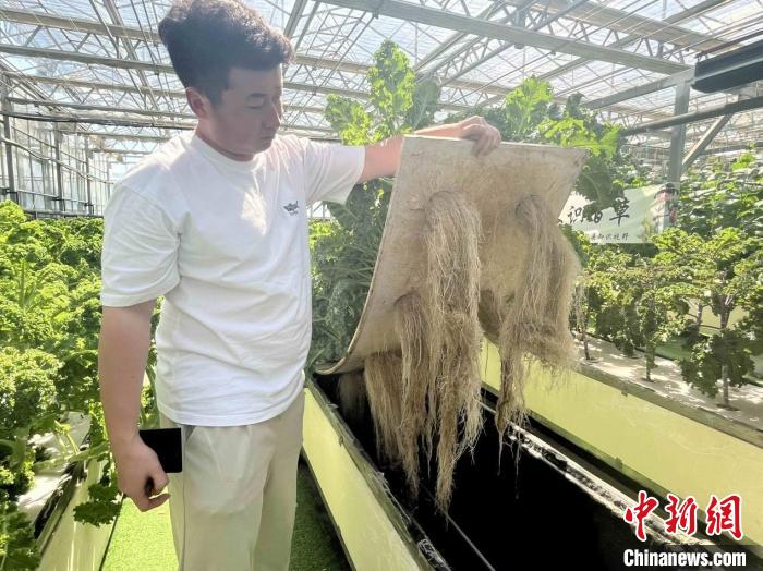 无码人妻少妇色欲AV一区二区