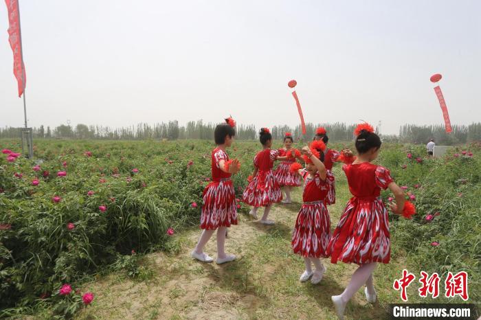 无码人妻少妇色欲AV一区二区