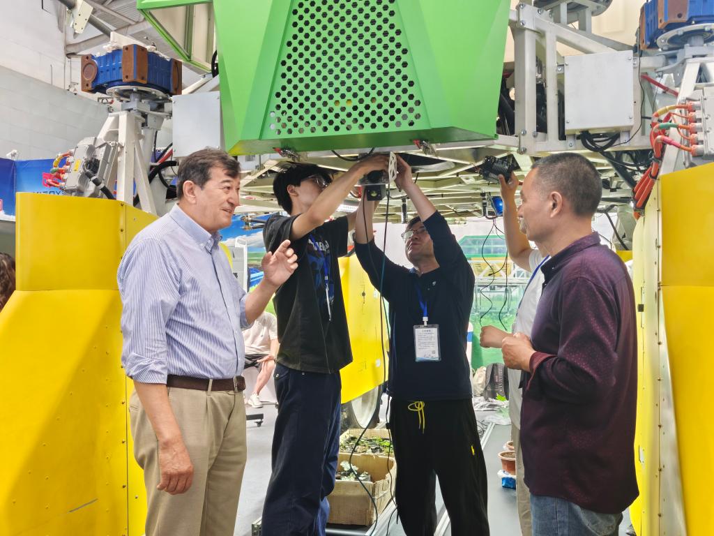 无码人妻少妇色欲AV一区二区