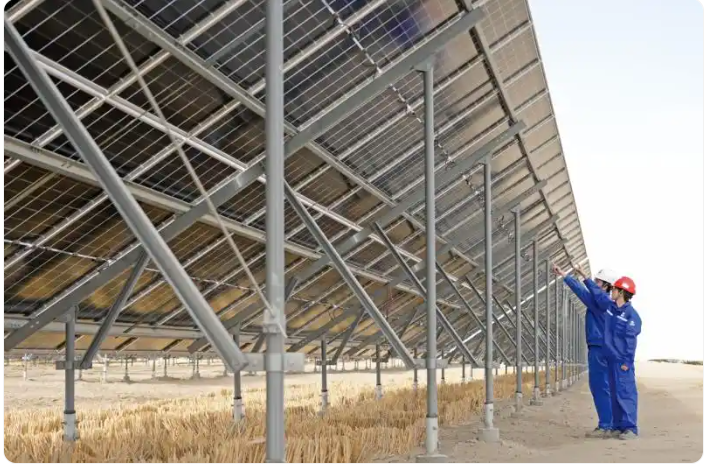 无码人妻少妇色欲AV一区二区