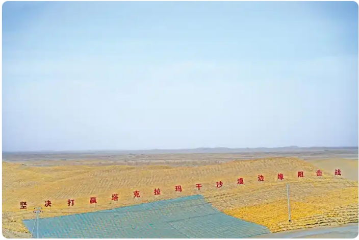 无码人妻少妇色欲AV一区二区