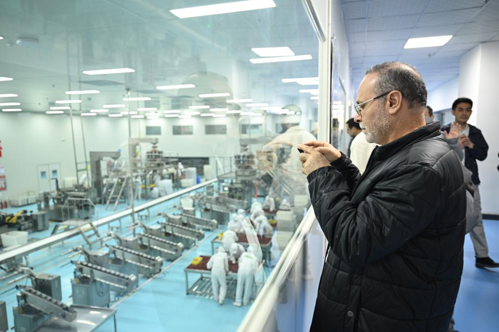 无码人妻少妇色欲AV一区二区