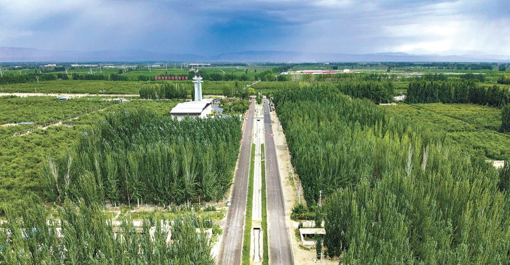 无码人妻少妇色欲AV一区二区