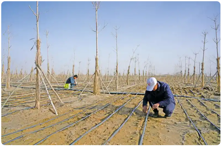 无码人妻少妇色欲AV一区二区